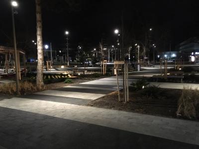 Прикрепленное изображение: IMG_1405.JPG